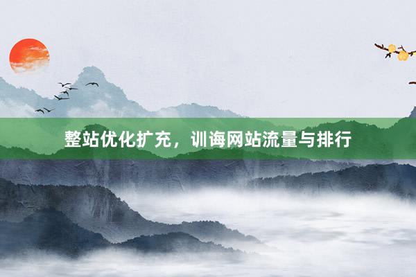 整站优化扩充，训诲网站流量与排行