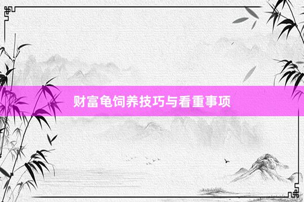 财富龟饲养技巧与看重事项