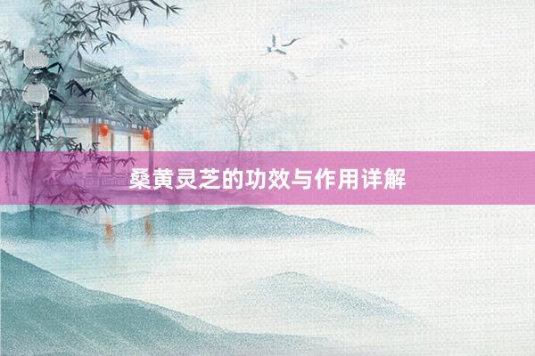 桑黄灵芝的功效与作用详解