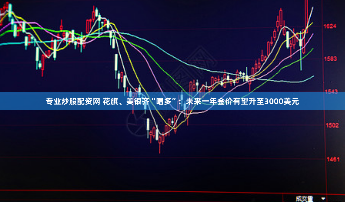 专业炒股配资网 花旗、美银齐“唱多”：未来一年金价有望升至3000美元