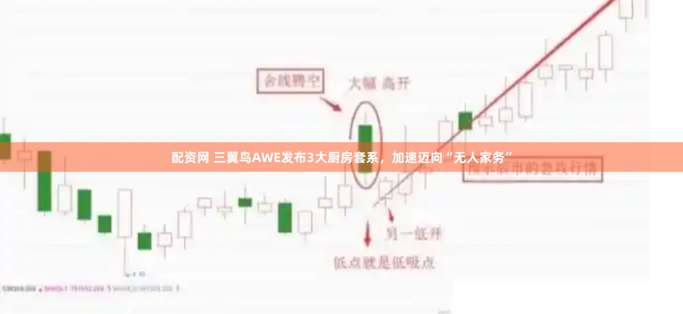配资网 三翼鸟AWE发布3大厨房套系，加速迈向“无人家务”
